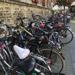 A ton of bicycles. Really.